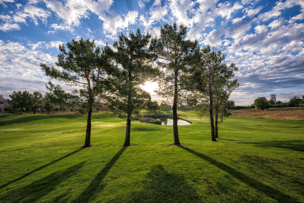 Putting Green Practice at Rancho Vista